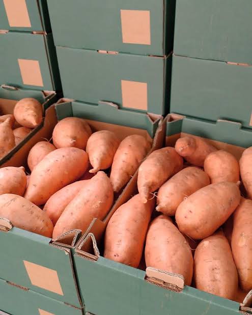 Bellevue Sweet Potato