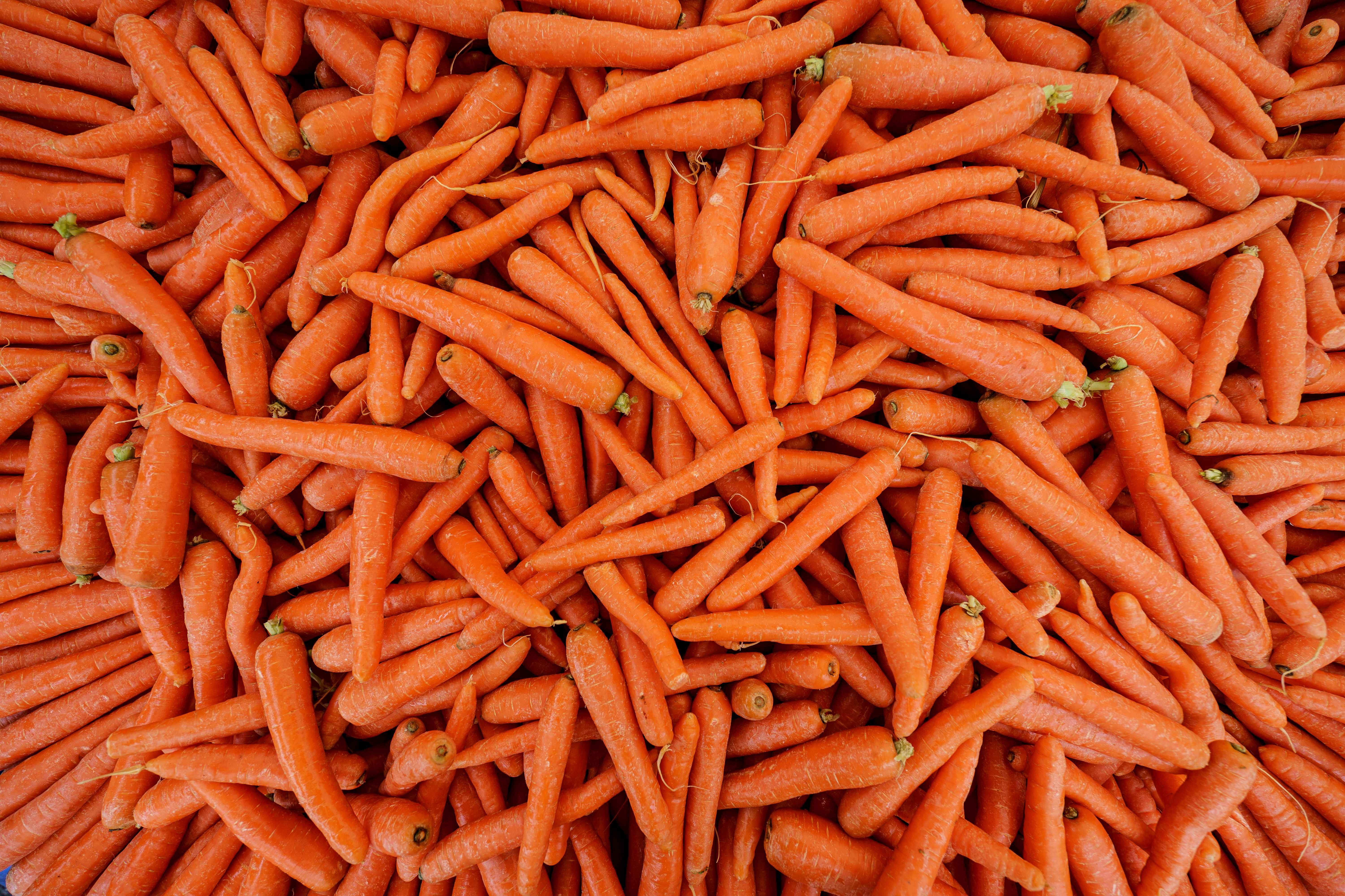 Carrots