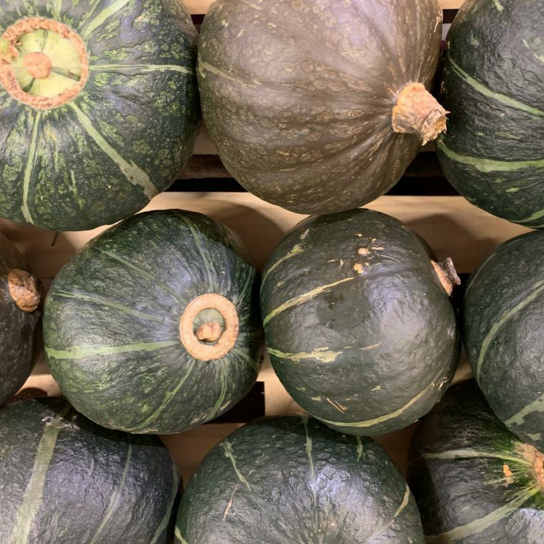 Delica Pumpkin
