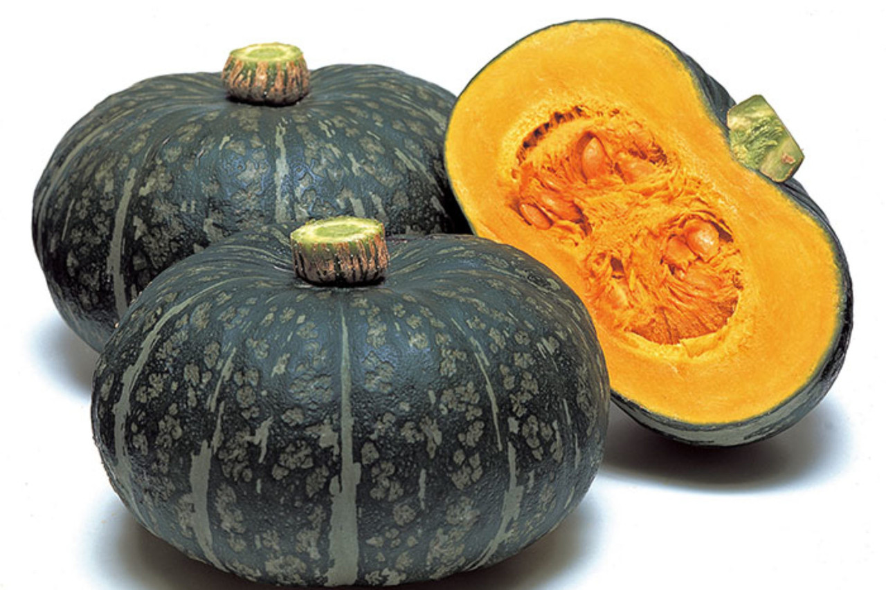 Delica Pumpkin