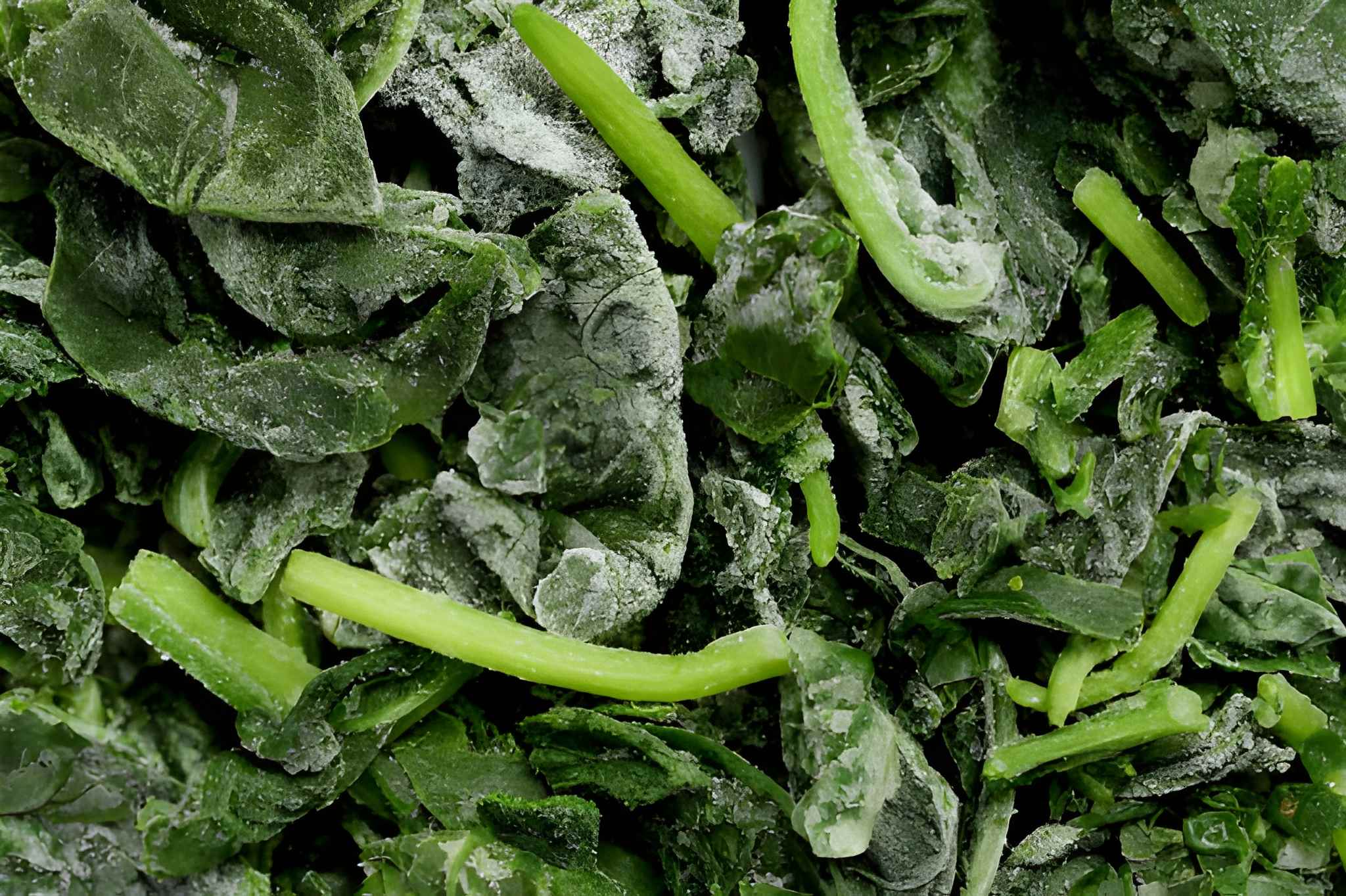 Frozen Spinach