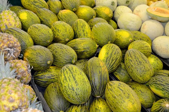 Piel de Sapo Green Spanish Melon