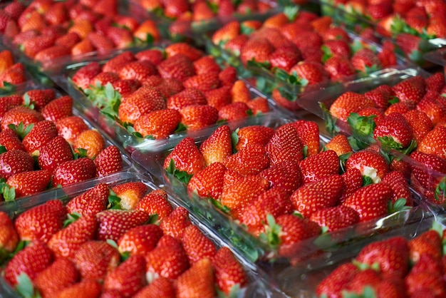 Strawberry Packing