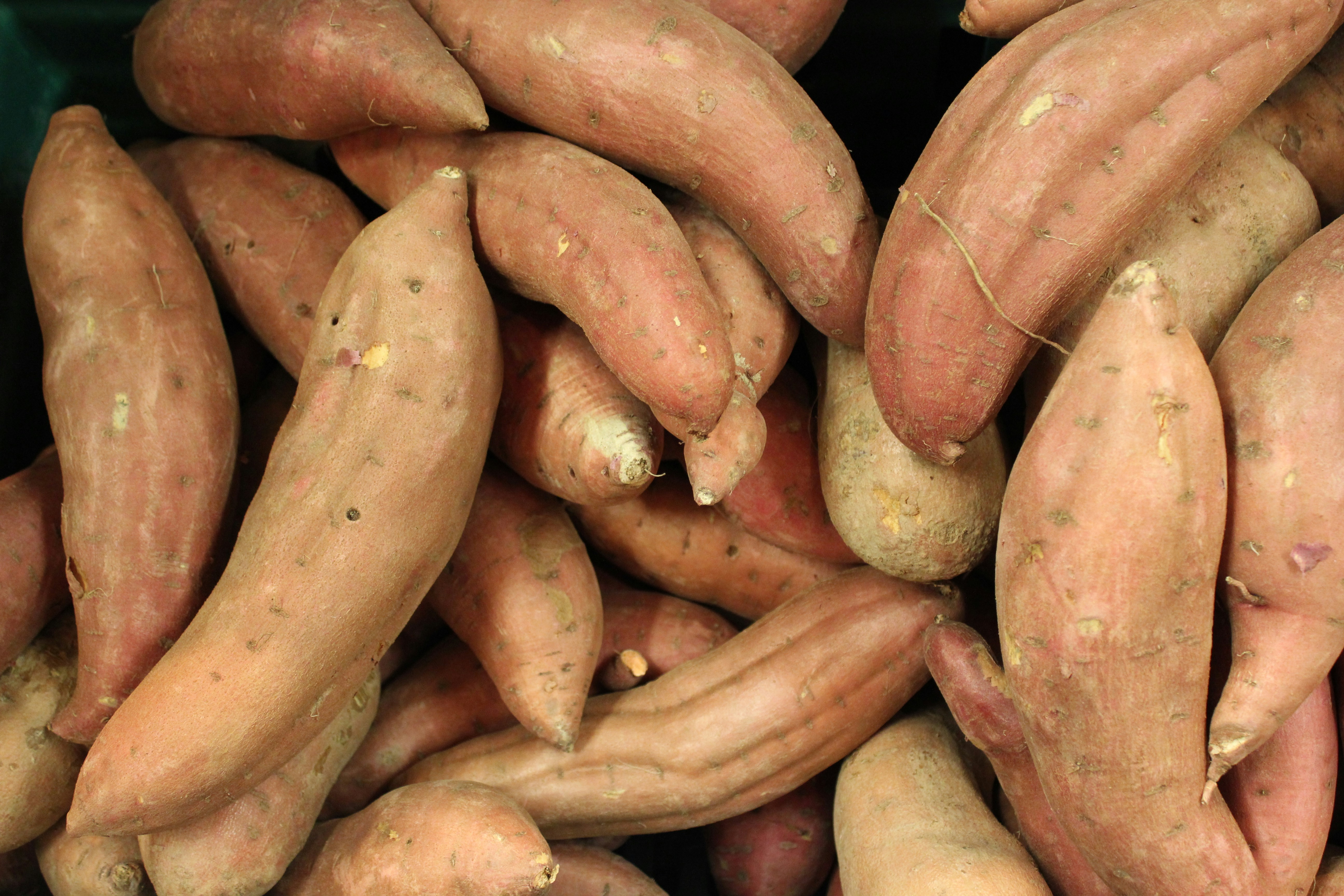 Sweet potatoes
